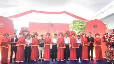 Quang Ninh lanserer en seilbåttur med tre vegger på Ha Long-bukten.