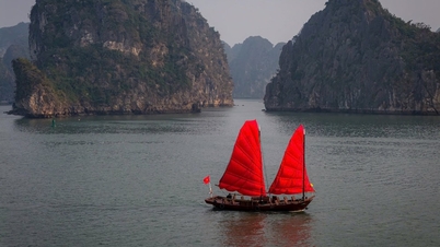 Quang Ninh: Le imbarcazioni a tre pareti – le tradizionali vele – entrano ufficialmente in servizio.