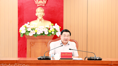 Pengadaan lahan untuk proyek Pembangkit Listrik Tenaga Nuklir Ninh Thuan 2 telah mencapai 97,5%.