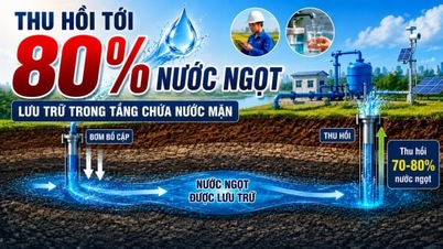 Récupérer jusqu'à 80 % de l'eau douce stockée dans les aquifères salés.