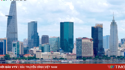 Ho Chi Minh-byen har nettopp godkjent en rekke Build-Transfer (BT)-prosjekter verdt over 185 000 milliarder VND.