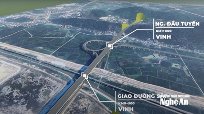 El proyecto de la autopista Vinh - Thanh Thuy ha destinado 122 mil millones de VND a la reforestación.