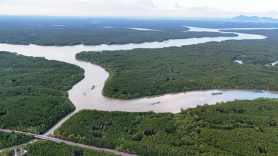 Launching the first ecotourism project in the Can Gio protected forest.