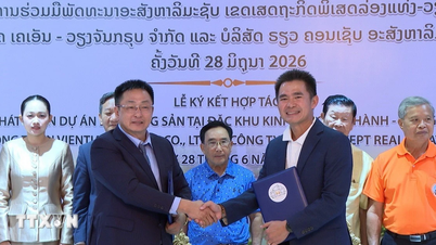 Cumprir os compromissos de investimento e promover o papel das empresas na cooperação entre o Vietname e o Laos.