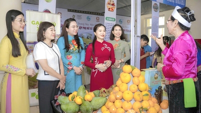 Phu Tho membangunkan model mata pencarian yang dipimpin oleh wanita dalam arah yang hijau dan mampan.