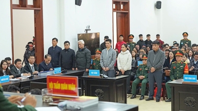 Апеляційний суд над головою групи Фук Сон та його спільниками.