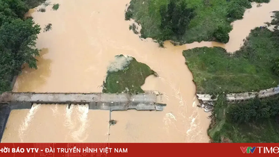 উত্তর ভিয়েতনামের অনেক নদীতে বন্যার সতর্কতা জারি করা হয়েছে, ভূমিধসের ঝুঁকি বেড়েছে।