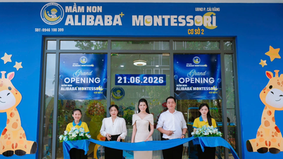 ឥឡូវនេះ ឪពុកម្តាយមានជម្រើសកាន់តែច្រើនសម្រាប់ការអប់រំមត្តេយ្យសិក្សាទ្វេភាសានៅក្នុងទីក្រុង Can Tho។