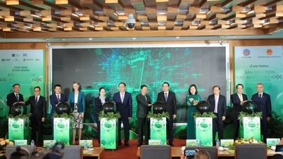 Vietnam pone en marcha un sistema nacional de intercambio de carbono.