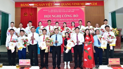 Le secrétaire adjoint du Comité provincial du Parti et président du Comité du Front de la patrie du Vietnam de la province, Ma The Hong, a assisté à l'annonce du réaménagement et de la réorganisation des zones résidentielles et des villages du quartier de Binh Thuan et de la commune de Nhu Khe.