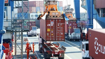 Internationella containerfraktpriser från Ho Chi Minh-staden har skjutit i höjden.