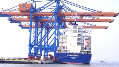 Les propositions incluent la suppression des frais de location de terrains et l'octroi d'un soutien financier préférentiel aux ports verts.