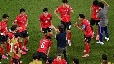 Presiden Korea Selatan memerintahkan penyelidikan setelah kegagalan tim nasional Korea Selatan di Piala Dunia.
