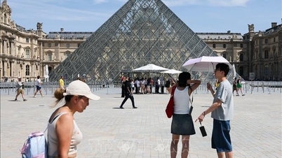 L'Europe est confrontée à une vague de chaleur historique ; plus de 1 000 décès ont été recensés.