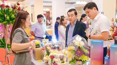 Huế xếp thứ 11 về tăng trưởng GRDP 6 tháng đầu năm