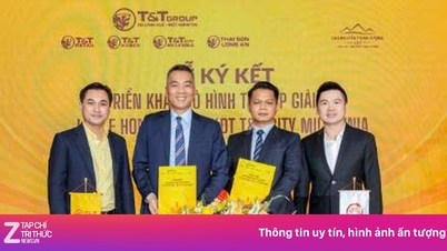 T&T Retail y Cao Nguyen Thinh Vuong están desarrollando conjuntamente Little Hong Kong.