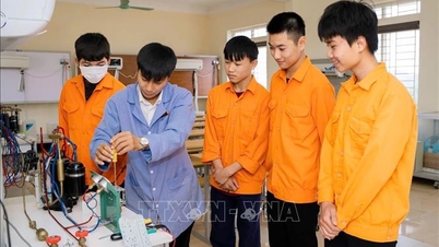 職業教育の履修制度改革：学生の学習機会の拡大。