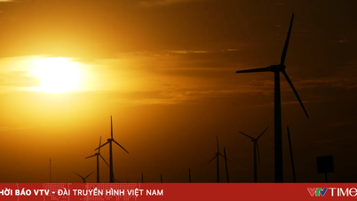 Colpo di calore: un pericolo silenzioso durante le ondate di calore estreme.