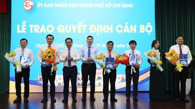 Three leaders of the Ho Chi Minh City Department of Agriculture and Environment have been assigned new duties.