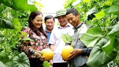 Nhà màng, nhà lưới mở lối làm giàu cho nông dân