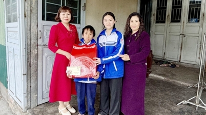 លោកគ្រូធំសាបព្រួសគ្រាប់ពូជនៃសេចក្តីស្រឡាញ់។