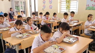 Phu Tho: Reforzar las medidas de seguridad alimentaria en las escuelas.
