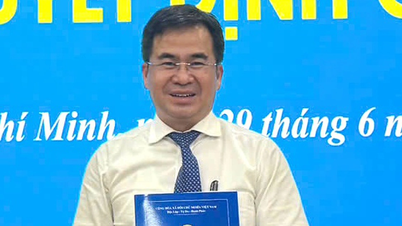 A Universidade de Medicina Pham Ngoc Thach tem um novo reitor, após o cargo ter permanecido vago durante um ano.