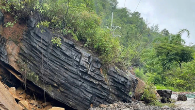 ต้วนกวาง: ฝนตกหนักทำให้เกิดความเสียหายต่อทรัพย์สินของรัฐและเอกชน