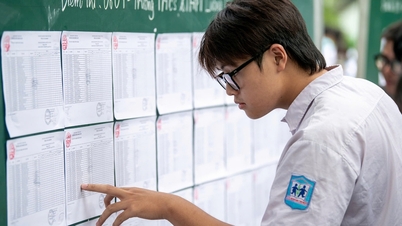 Fluktuasi nilai penerimaan mahasiswa baru di Universitas Kedokteran Hanoi selama 5 tahun terakhir.