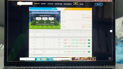 Watching the World Cup illegally puts users at risk of losing both money and data.