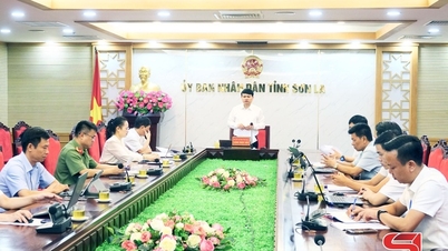 국가 기구 재편의 영향을 받는 법률 문서를 검토하고 필요한 조치를 취합니다.