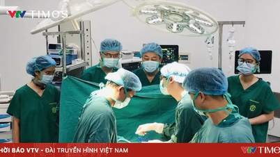Krásné okamžiky uplynulého týdne (22.–28. června): Neznámí hrdinové, kteří zachraňují život.