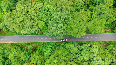 [Imej] Membina jalan raya bertingkat melalui hutan Ma Da.