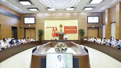 Președintele Adunării Naționale, Tran Thanh Man, participă la a cincea ședință a Comitetului Partidului Adunării Naționale.