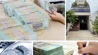 Peraturan baru tentang klasifikasi aset untuk lembaga keuangan mikro dan bank koperasi.