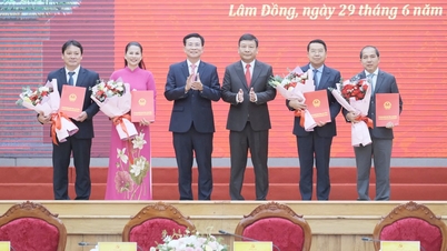 Wilayah Lam Dong mengumumkan dan membentangkan 10 keputusan mengenai pemindahan dan pelantikan pegawai.