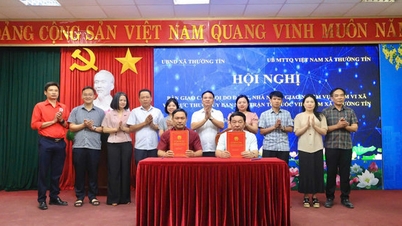 Thuong Tin transferiu as associações para ficarem diretamente subordinadas ao Comitê da Frente da Pátria Vietnamita da comuna.
