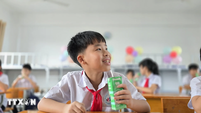 Het ondersteunen van de melkvoorziening op scholen - een humane pijler voor de jongere generatie.
