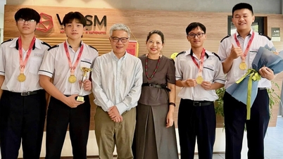 Fire elever fra Luong Van Chanh High School for the Gifted vandt den vietnamesiske konkurrence i matematisk modellering.