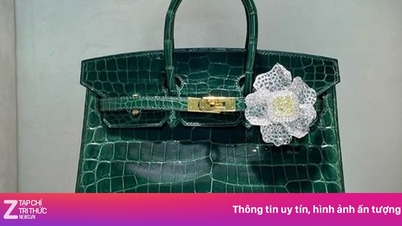 เครื่องประดับเพชรมูลค่า 2.1 ล้านดอลลาร์บนกระเป๋า Birkin ดึงดูดความสนใจเป็นอย่างมาก