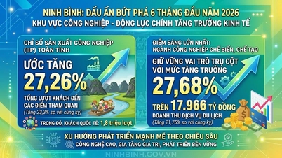 Ninh Binh: Et gennembrud i de første seks måneder af 2026