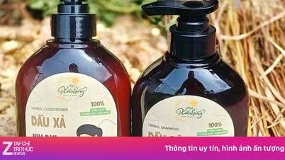 Il Ministero della Salute ha ritirato dal mercato e distrutto a livello nazionale un tipo di shampoo e balsamo a base di erbe.