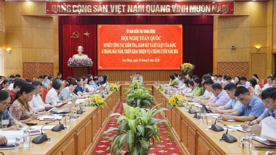 Den sentrale inspeksjonskomiteen gjennomgår arbeidet med inspeksjon, tilsyn og disiplinærhåndhevelse av partiet i løpet av årets første seks måneder - Cao Bang Online Newspaper.