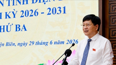 دین بین: 3.29 میلیارد دونگ ویتنامی برای حمایت از کارمندان دولت، کارمندان دولت و کارگران مرکز خدمات اداری عمومی اختصاص داده شده است.