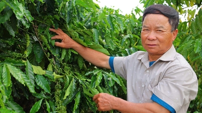 Dallo spirito di un soldato a un modello agricolo multimiliardario.