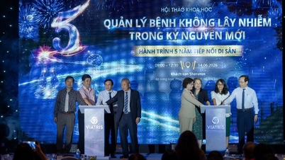 Viatris este partener în îmbunătățirea eficacității gestionării bolilor netransmisibile în Vietnam.