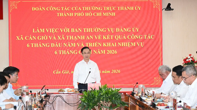 Fortalecer la gestión del suelo y el orden en la construcción en las comunas de Can Gio y Thanh An.
