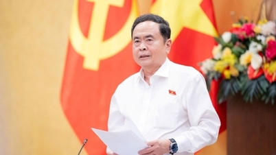 Tran Thanh Man, Secretário do Comitê do Partido da Assembleia Nacional e Presidente da Assembleia Nacional: Resoluções, regulamentos e conclusões não devem ficar apenas no papel.