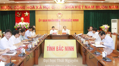 ມະຫາວິທະຍາໄລທາຍງວຽນ ກຳລັງສຳຫຼວດສະຖານທີ່ທີ່ມີທ່າແຮງສຳລັບວິທະຍາເຂດໃໝ່ໃນແຂວງບັກນິງ.