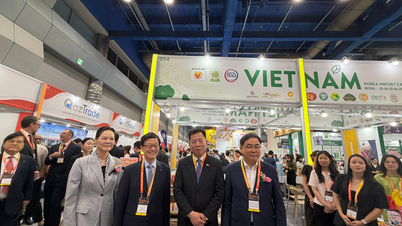 20 Vietnamese businesses participated in the Korea Import Expo 2026.